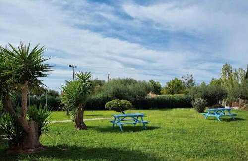 Julietta Suites - Photo 29