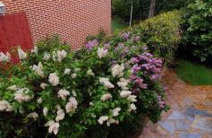 Casa Cercedilla Montaña Esquí - Foto 8