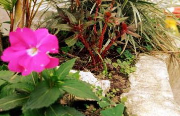 Recanto das Neves - Foto 42