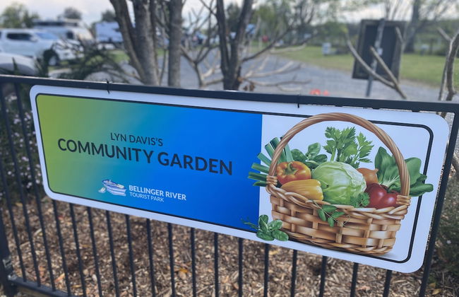 Bellinger River Tourist Park - Photo 39