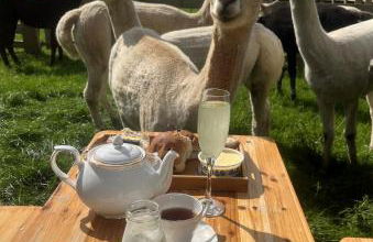 Hawthorn Cottage - Photo 12