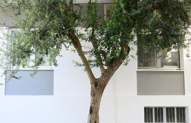 Stella s Minimal Lodge - Foto 62