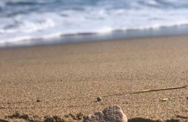 Ocean Front condo in the heart of Hampton Beach - Foto 37