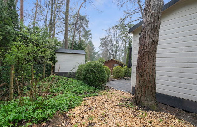 Beautiful Holiday Chalet in Emst With a Private Garden - Photo 32