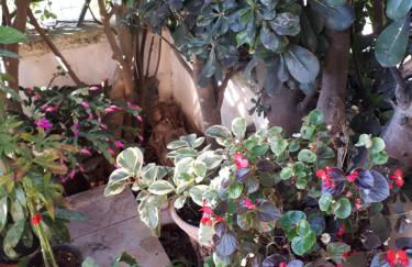 Villetta Lucia - Foto 9