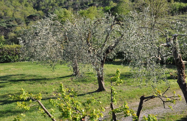 Castello di Selvole-Adults Only - Foto 17
