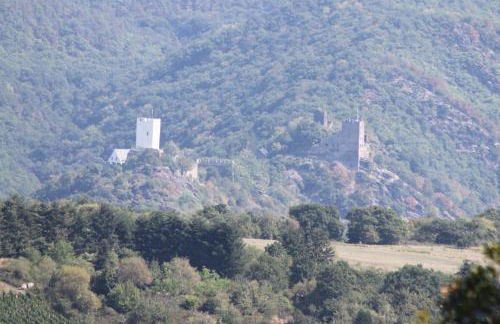 Ferienwohnungen Arnold - Foto 30