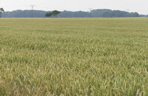 Peeneurlaub - Foto 77