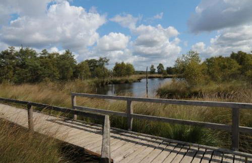 Ferienhaus Wahlers - Foto 34