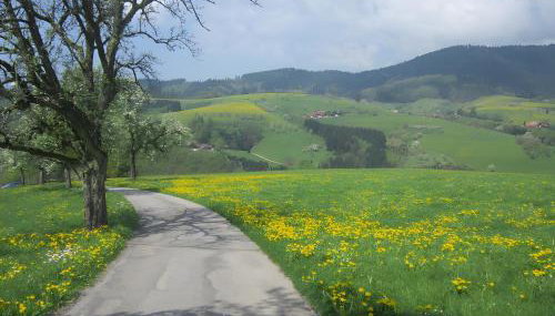 Ferienhaus Hubhof - Foto 5