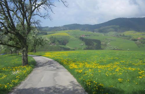 Ferienhaus Hubhof - Foto 5