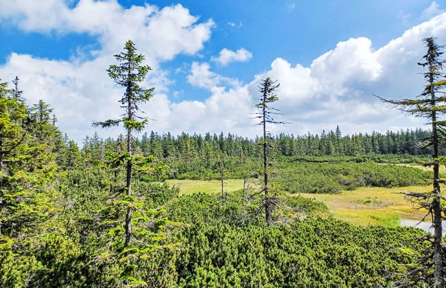 Villa Belvedere - Photo 34