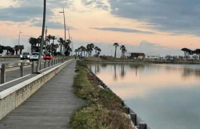 Pindemonte 52 appartament - Foto 12