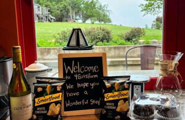 Shenandoah Holiday Chalet Fireplaces & Game Barn - Foto 8