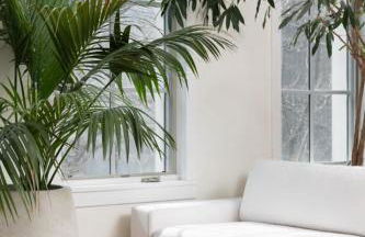 Luxury Gold Coast Penthouse with Deck & Views - Photo 26