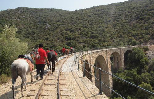 Vergonis Studios - Photo 50