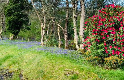 Mountain View Self Catering Ballachulish Glencoe - Photo 26