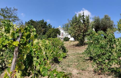 Casa Martin , 4 bedroom villa - Foto 67