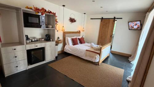 Luxury Courtyard Studio in Llangollen - Foto 4