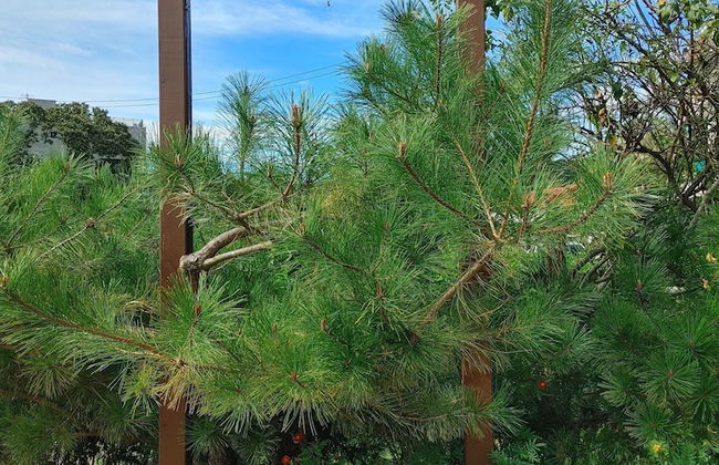 Paju Gamaksan Pension - Foto 48