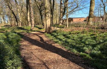 Max's Woodland Lodge - Foto 38