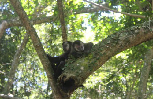Amplo Refúgio - Diárias e Guest House - Beira da Lagoa - Foto 16