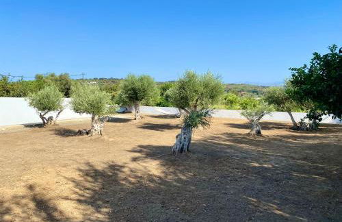 Lefko Apartments - Foto 40