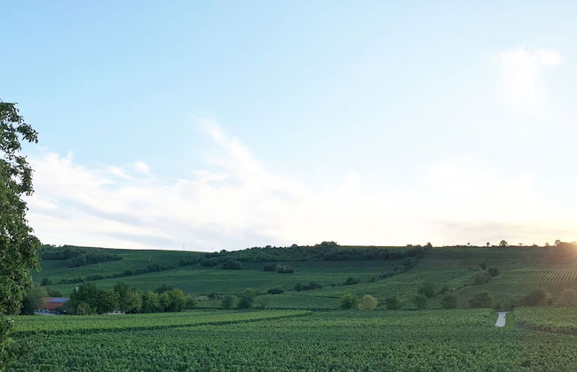 Oppenheim Ferienwohnung Martin - Photo 22