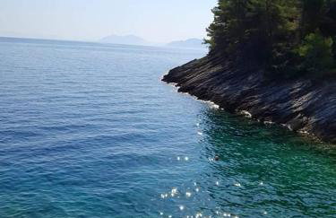 Modern Robinson Veli Bare - Photo 12