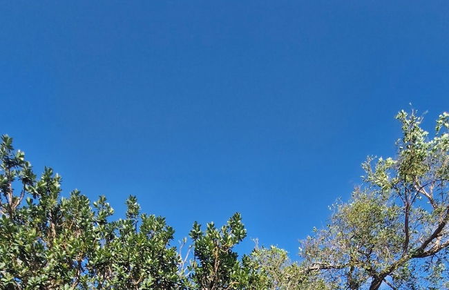 Chalés Recanto da Baleia - Photo 50