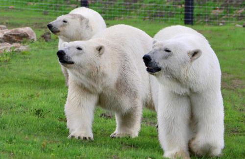 Farmhouse-Sleeps 5-Near Alton Towers Peak Dist - Foto 13