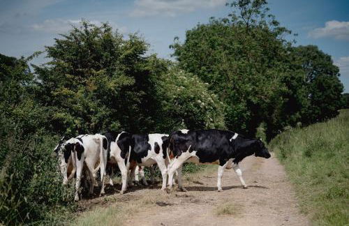 Pitcombe Barn, Bruton - Photo 48