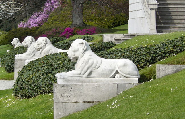 Azalea & Glicine House - Foto 67