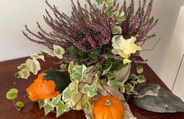 Casa Maria Terrazza sul mare con vista panoramica a Cervo - Foto 34