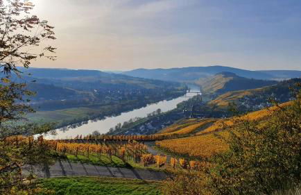 Ferienwohnung im Moseltal - Foto 22