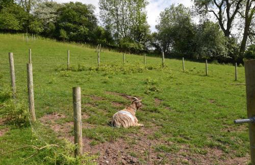 2 Bed in Abergavenny oc-bn316 - Foto 25