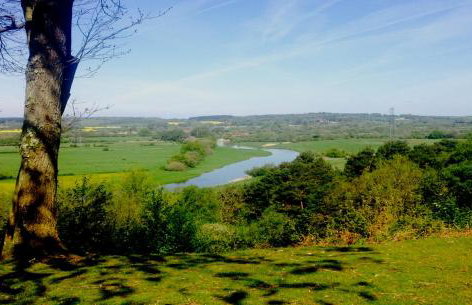 Beck Cottage, Wood Green, New Forest UK - Foto 39