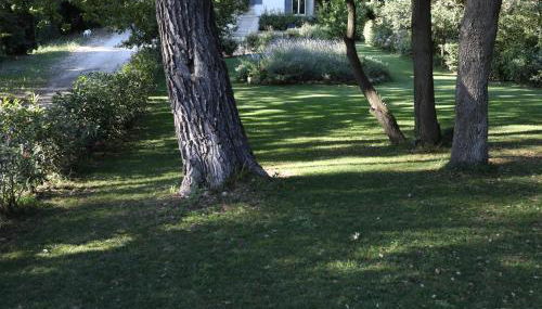 Maison calme et verdure - Foto 2, Garden view