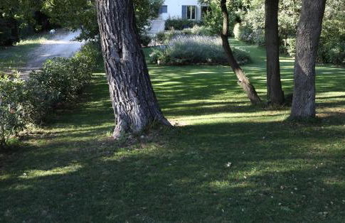 Maison calme et verdure - Foto 2