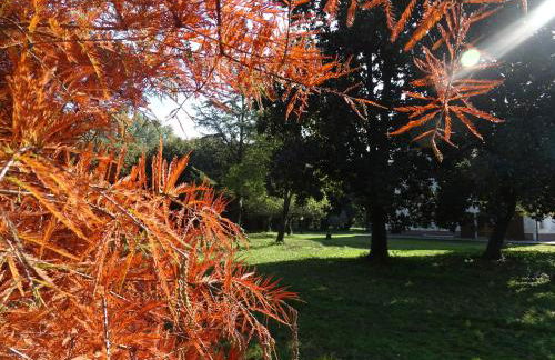 Corte Isolo - Photo 35