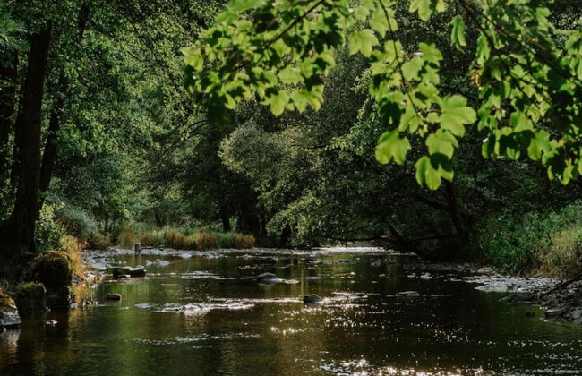 Holiday Home in Houffalize Near Nisramont - Photo 25