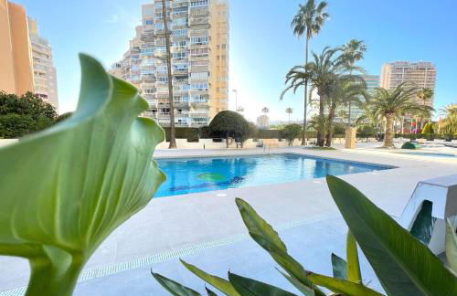 Esmeralda Minerva Primera Línea Fossa- Levante Beach - Photo 19