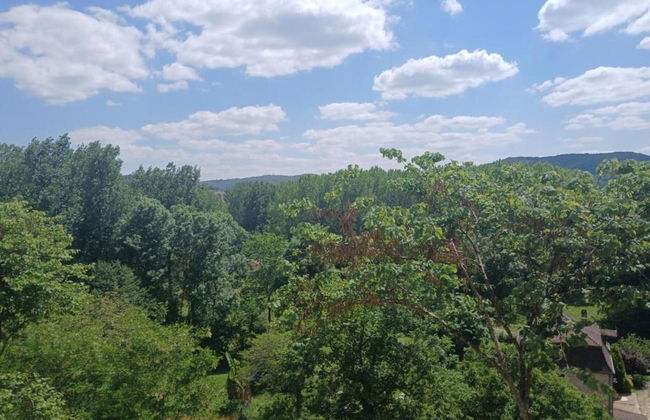 Appealing Apartment in Vezac With Swimming Pool - Foto 62