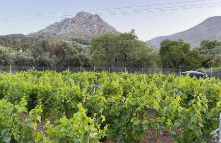 A wooden house in Kardamyla - Foto 62
