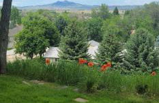 Mountain View Lodging Cody - Foto 68