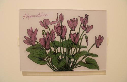 Ferienwohnungen im Gasthof Stern inklusive KönigsCard - Foto 39