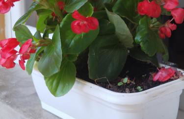 La casa al lago in centro storico - Foto 9