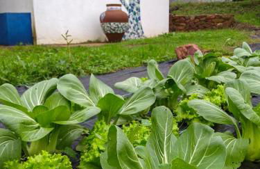 Las Huertas del Abrilongo - Foto 33