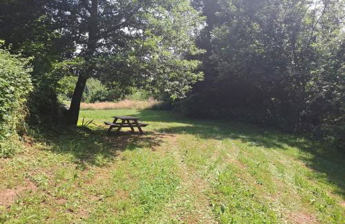 Le Scuderie di Casa Bernardi, stile e comfort con Sauna Finlandese - Foto 34