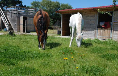 Roulotte Gîtes O bien-être massage Spa Séjour bien-être en hébergement insolite roulotte Karantez ou en gîtes Melon ou Yock à 800 m des plages - Foto 66